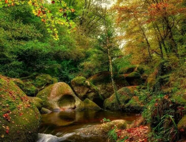 مبيت وإفطار Ty Rosa