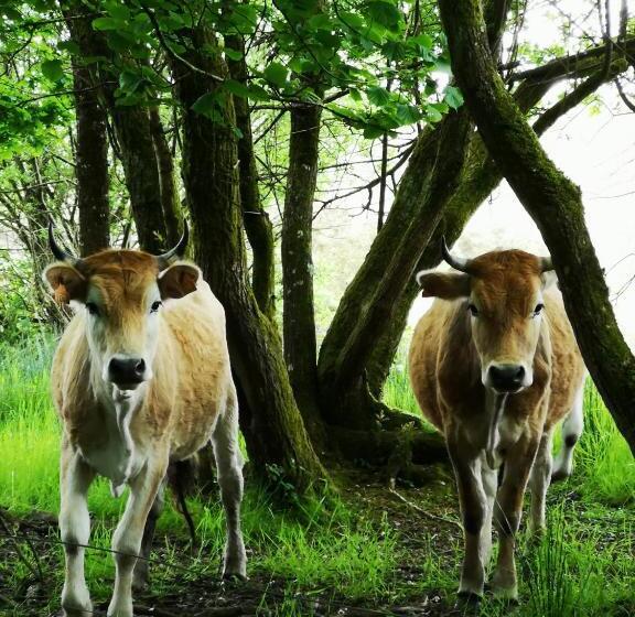 مبيت وإفطار Ty Rosa