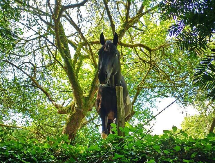 مبيت وإفطار Ty Rosa