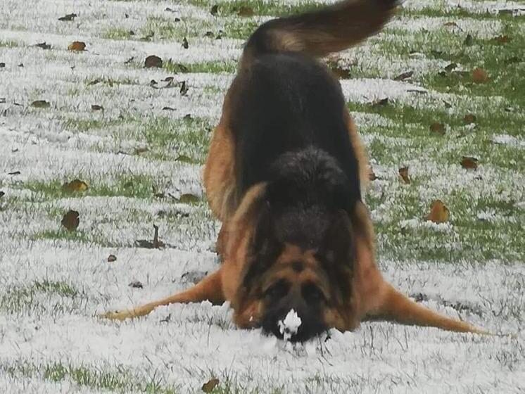 مبيت وإفطار Ty Rosa