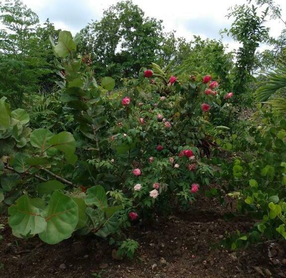 G S Nest Bed And Breakfast