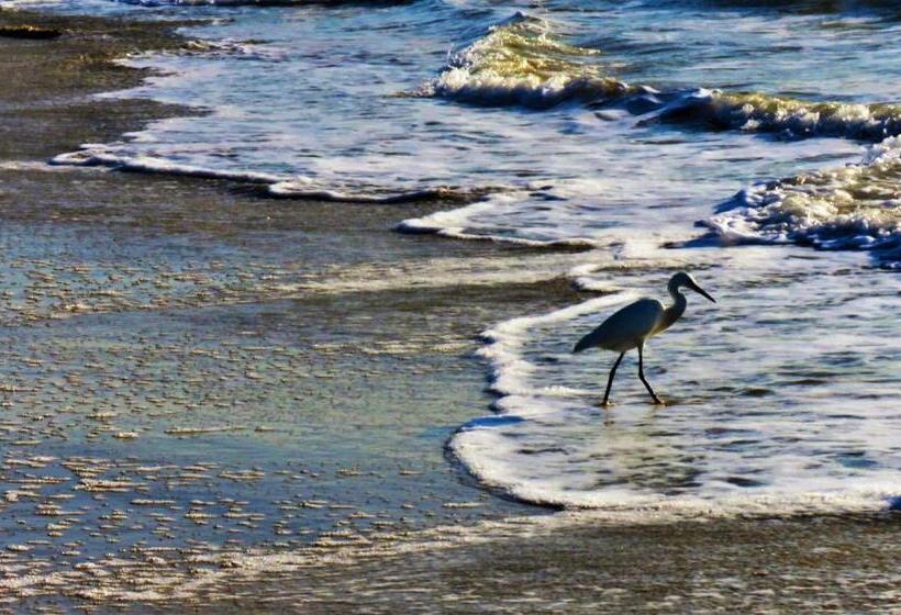 Hostel Casa Da Pedra Chata
