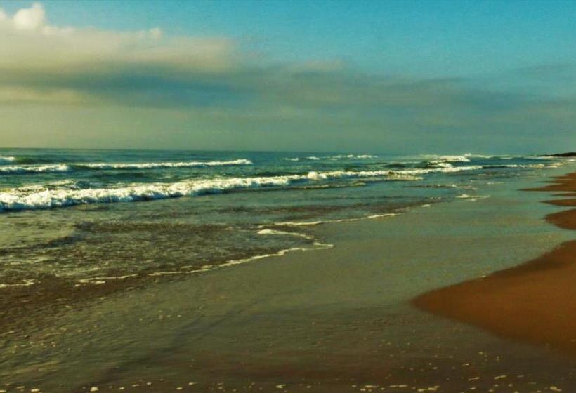 Hostel Casa Da Pedra Chata