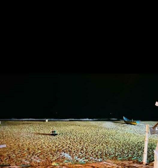 酒店 Coco Beach Gokarna