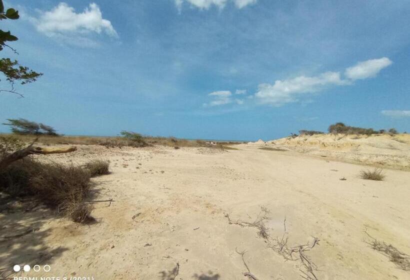 Отель Flamencamarones