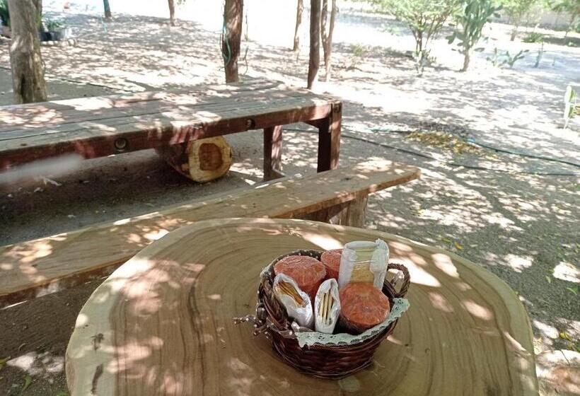 Отель Flamencamarones