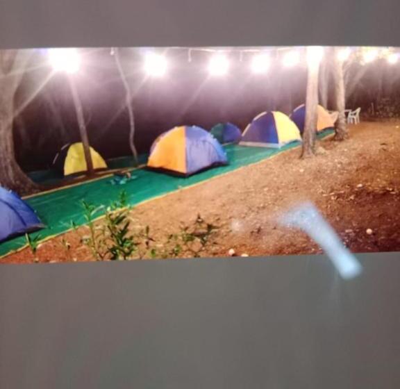 酒店 Hilltone Panorama Bungalow Veg Non Veg Matheran