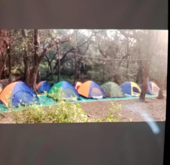 酒店 Hilltone Panorama Bungalow Veg Non Veg Matheran