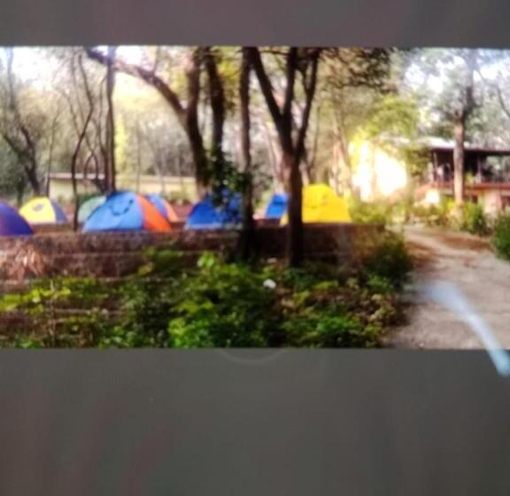 酒店 Hilltone Panorama Bungalow Veg Non Veg Matheran