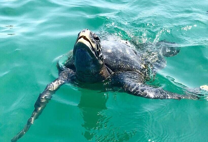 هتل Marinus Eco Lodge