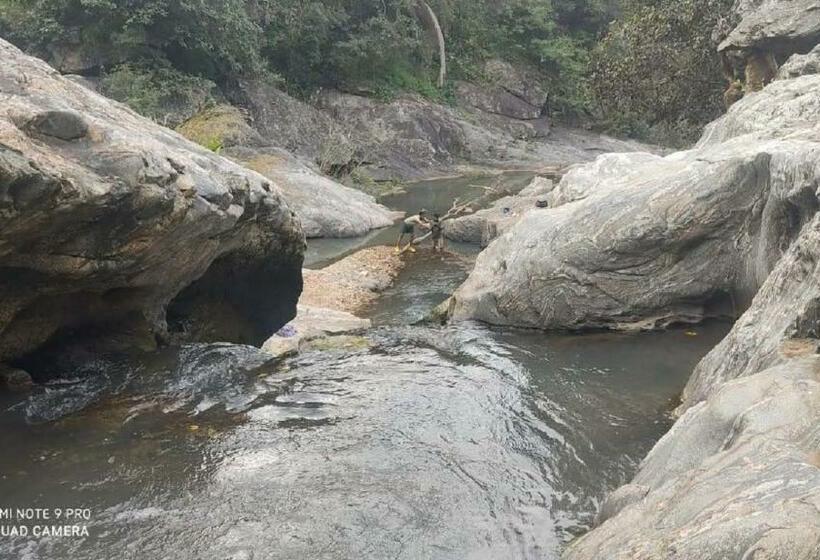 Отель Misty Valley Resort