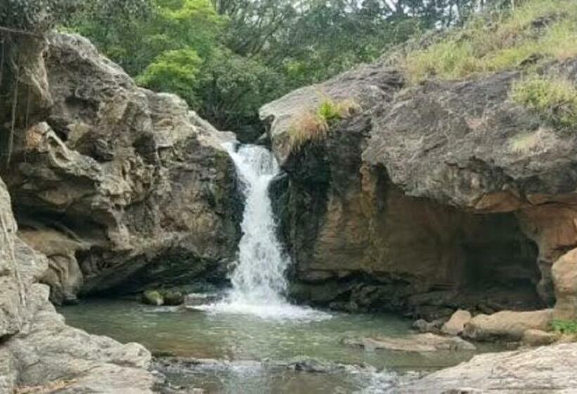 Отель Misty Valley Resort