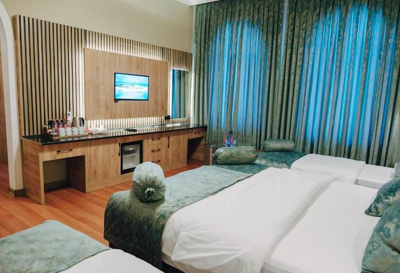 هتل Old City Ganja