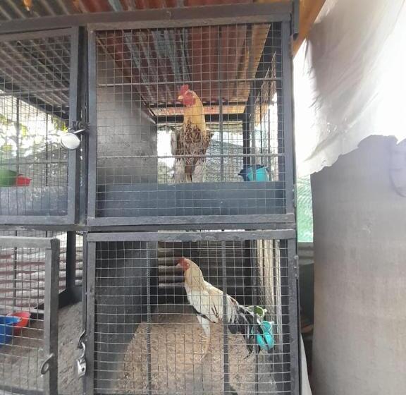 酒店 Shubham Park By Wb Inn