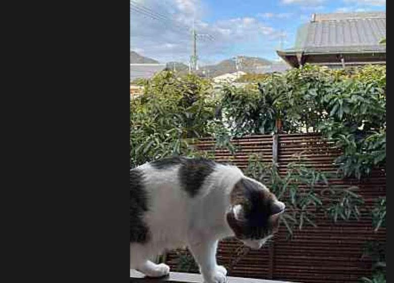 Kyoto Wakouan Retro Stay