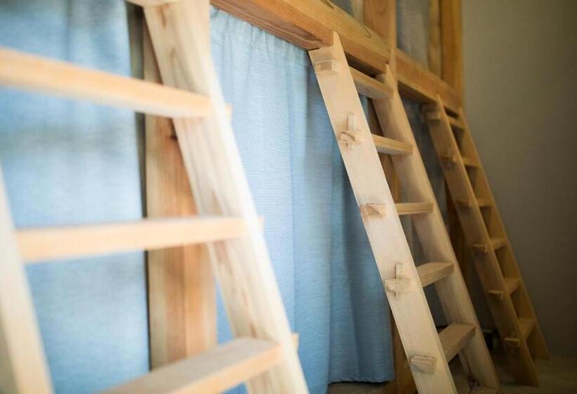 פנסיון Amigo House