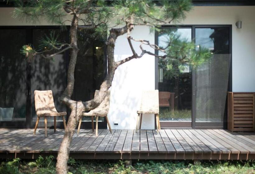 بنسيون Amigo House