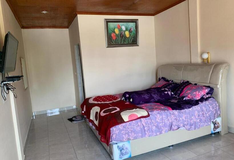 بنسيون Anna’s