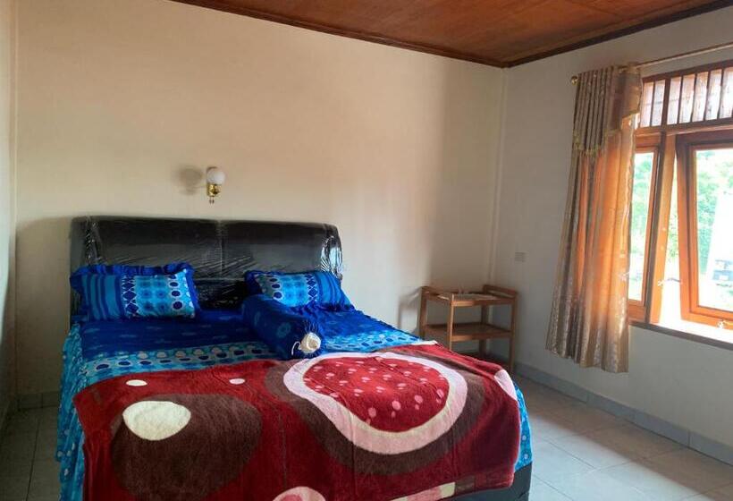 بنسيون Anna’s