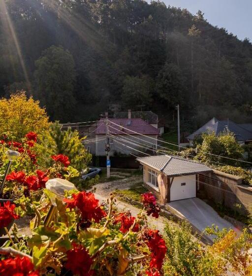 ペンション Casa Pe Vale