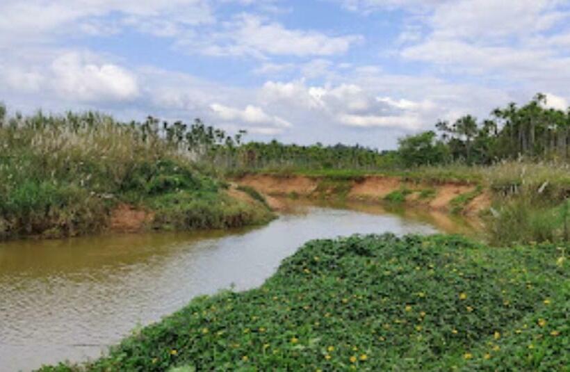 Пансион Coffeeisland Heritage Farm Villas