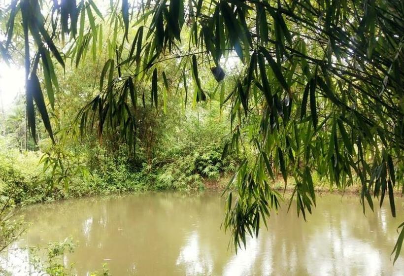 Пансион Coffeeisland Heritage Farm Villas