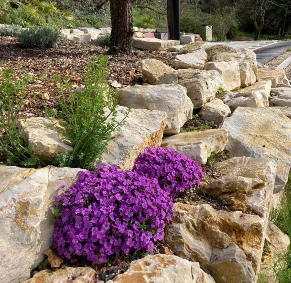 بنسيون La Nature Des Sens   Gîte Les Cèdres