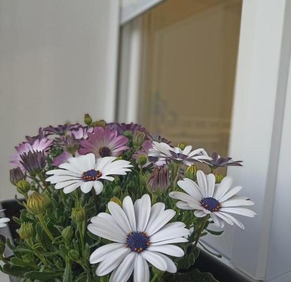 Пансион La Villa Del Sastre