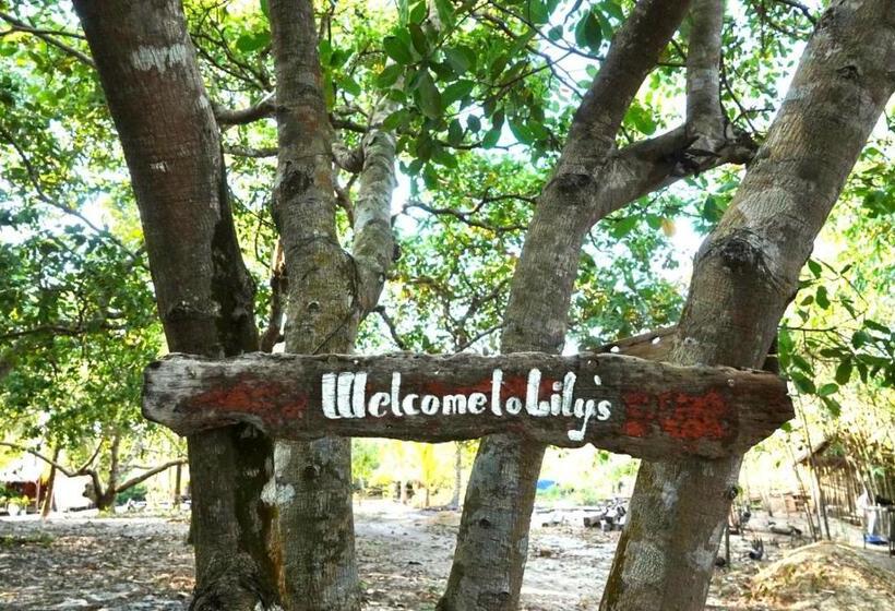 פנסיון Lily S Riverhouse