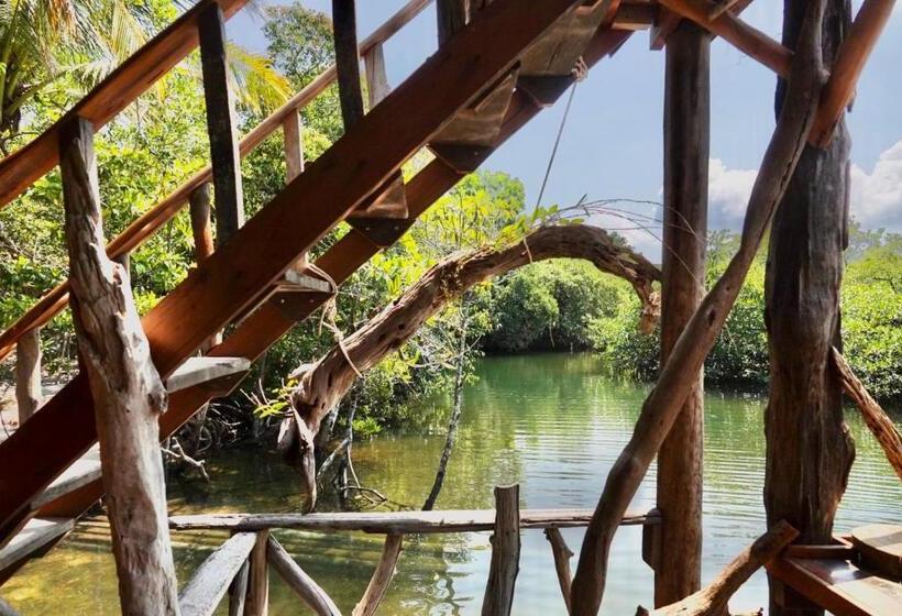 פנסיון Lily S Riverhouse