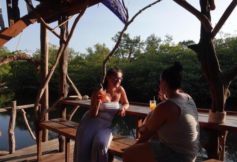 פנסיון Lily S Riverhouse