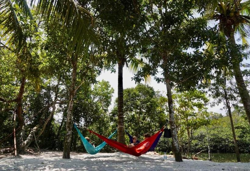 פנסיון Lily S Riverhouse