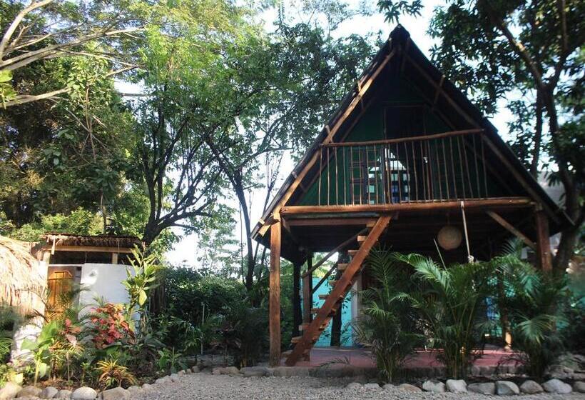 پانسیون Los Almendros Palomino Hostel