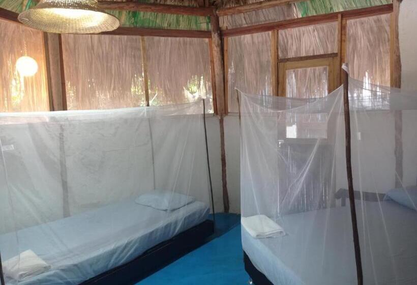 پانسیون Los Almendros Palomino Hostel