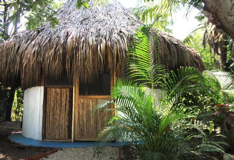 پانسیون Los Almendros Palomino Hostel