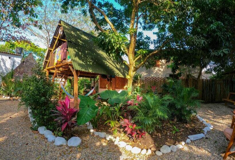 پانسیون Los Almendros Palomino Hostel