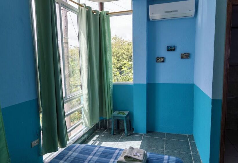 פנסיון Mango Tree