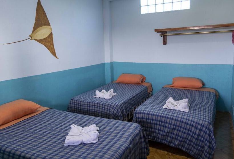 פנסיון Mango Tree