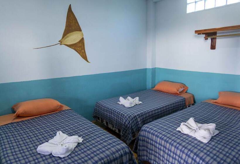 פנסיון Mango Tree