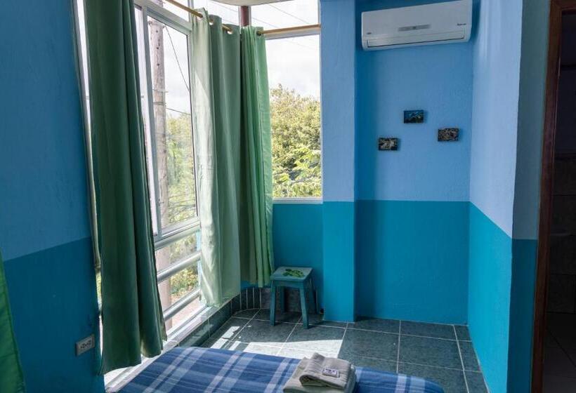 פנסיון Mango Tree