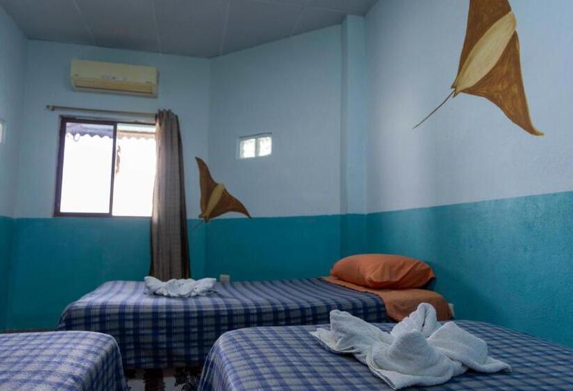 פנסיון Mango Tree