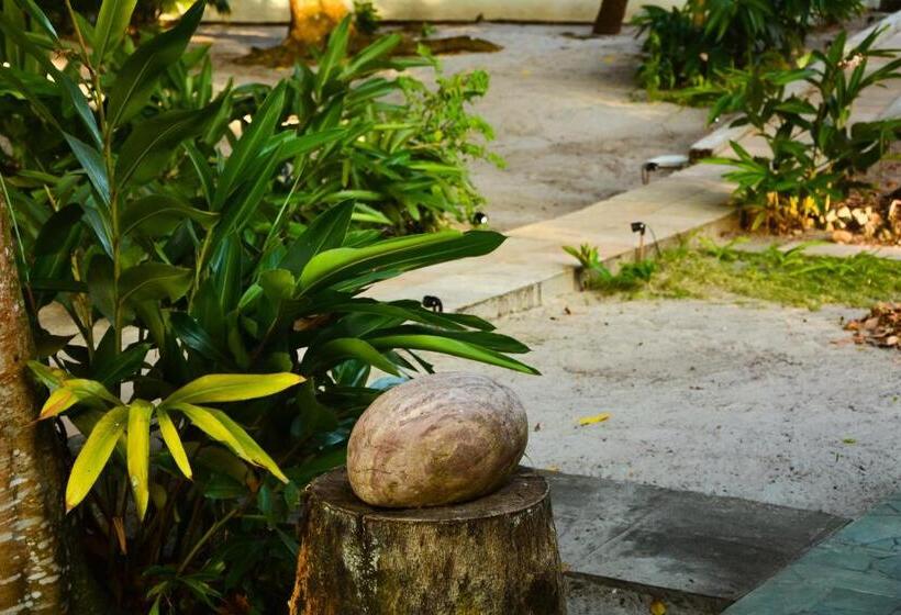 پانسیون Pousada Vila Palma Boipeba