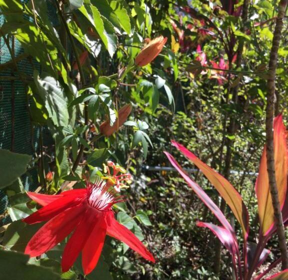 بنسيون Villas El Cenizaro