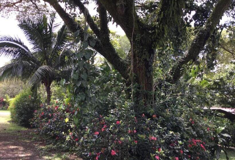 بنسيون Villas El Cenizaro