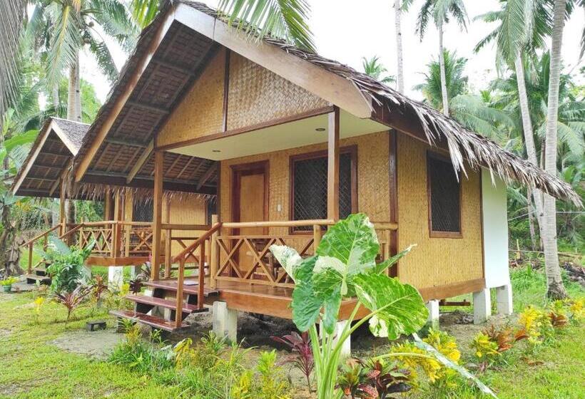 استراحتگاه Faith Tourist Inn