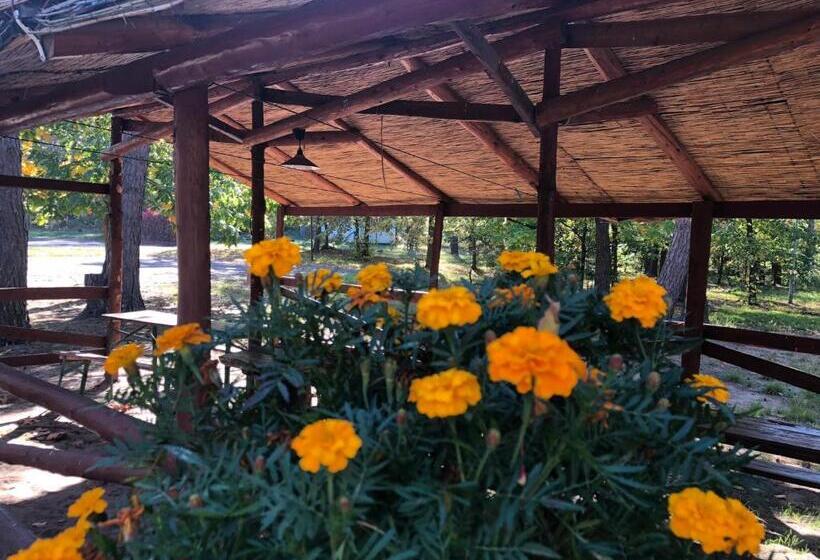 אתר נופש Ośrodek Wypoczynkowy Wrzos Stęszewko