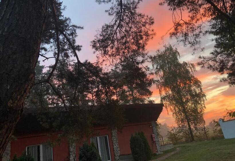 אתר נופש Ośrodek Wypoczynkowy Wrzos Stęszewko