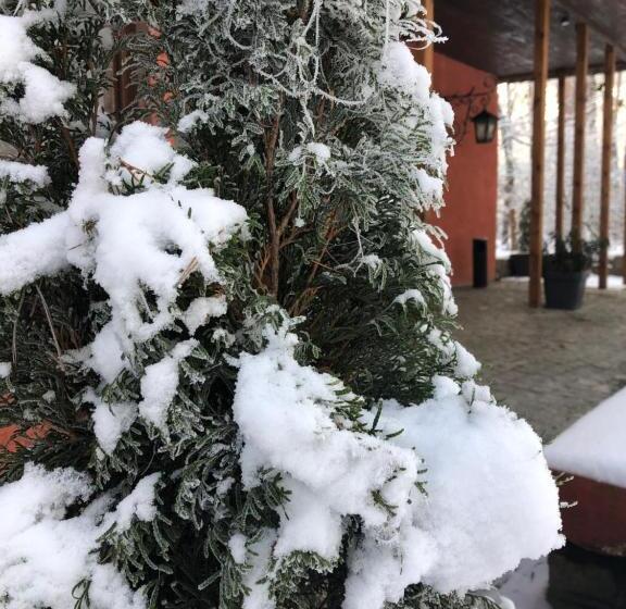 אתר נופש Ośrodek Wypoczynkowy Wrzos Stęszewko