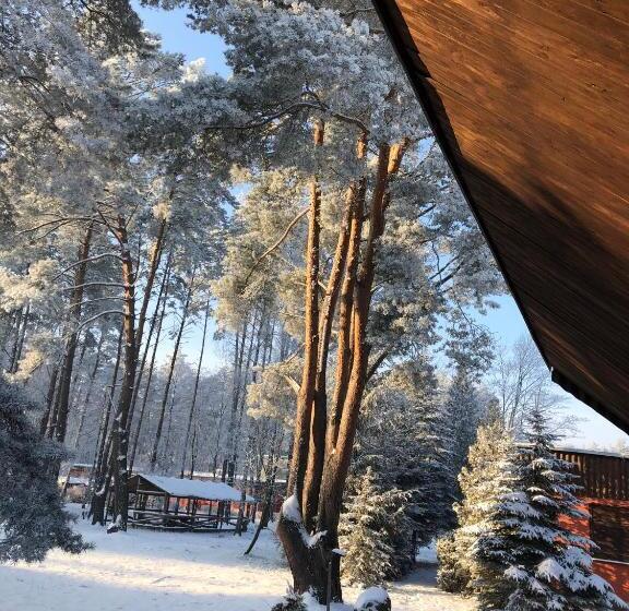 אתר נופש Ośrodek Wypoczynkowy Wrzos Stęszewko