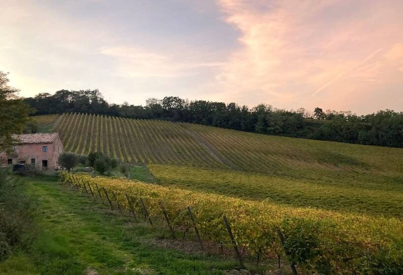 Villa Verdicchio   B&b With Wellness For Winelovers